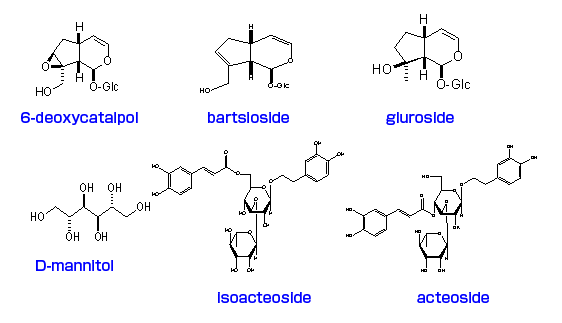 カンカニクジュヨウの化学成分1
