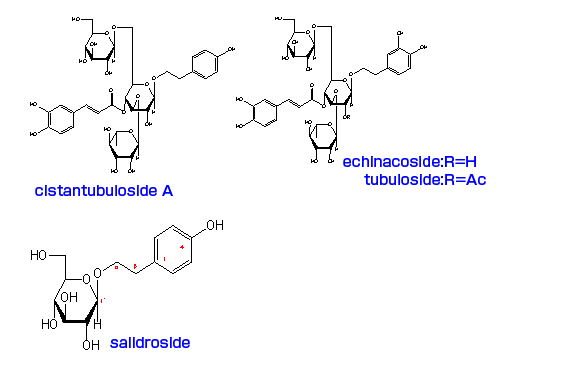 カンカニクジュヨウの化学成分2